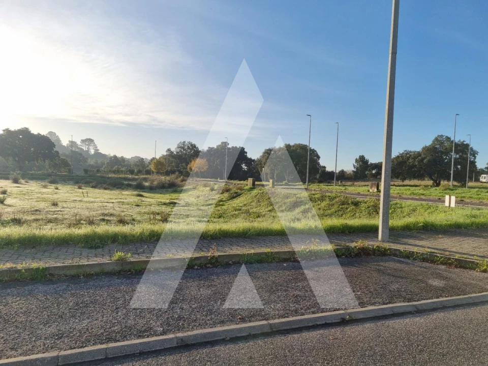 Terreno para Venda em Cartaxo e Vale da Pinta Foto 13