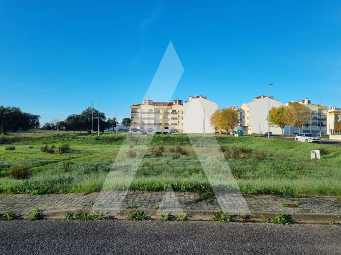 Terreno para Venda em Cartaxo e Vale da Pinta Foto 5