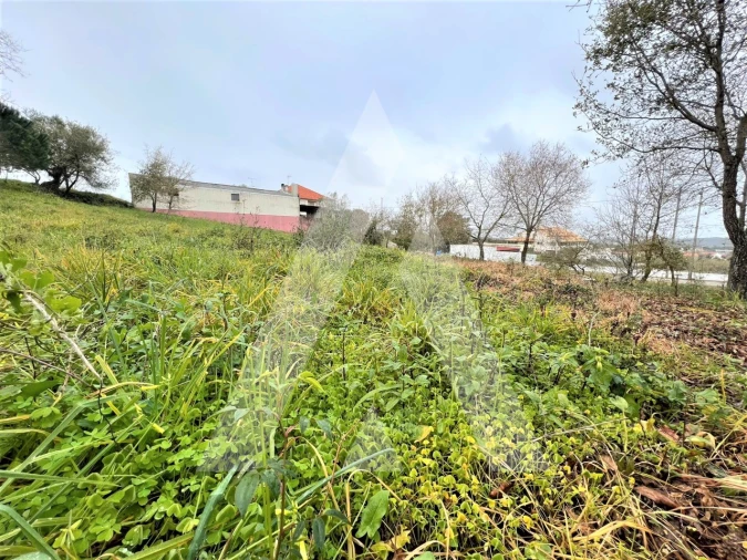Terreno para Venda em Leiria, Pousos, Barreira e Cortes Foto 8