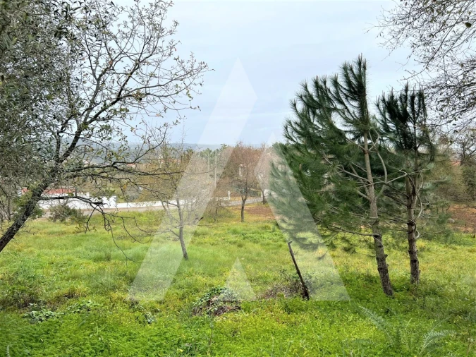 Terreno para Venda em Leiria, Pousos, Barreira e Cortes Foto 11
