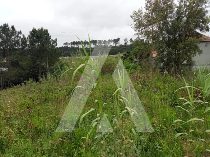 Terreno para Venda em Leiria, Pousos, Barreira e Cortes Foto 9