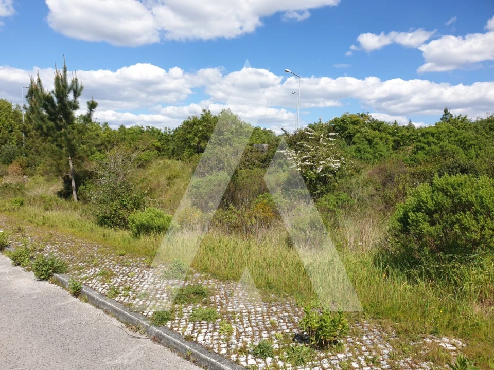 Terreno para Venda em Pombal Foto 4