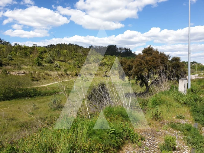 Terreno para Venda em Pombal Foto 2
