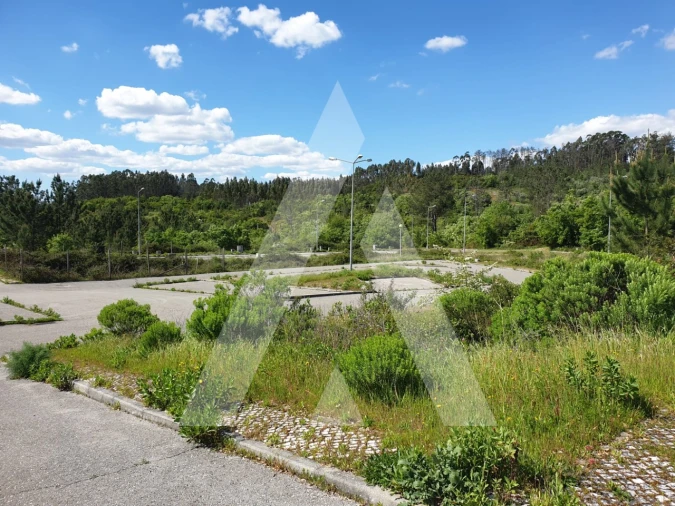 Terreno para Venda em Pombal Foto 5