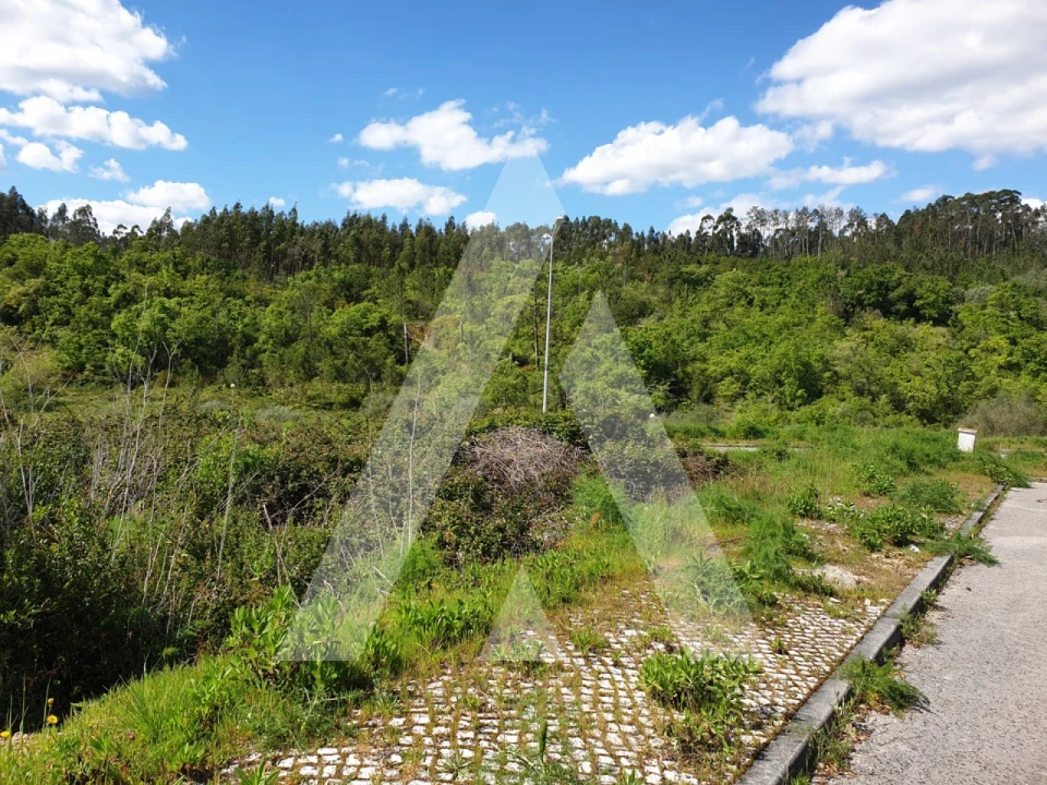 Terreno para Venda em Pombal Foto 2