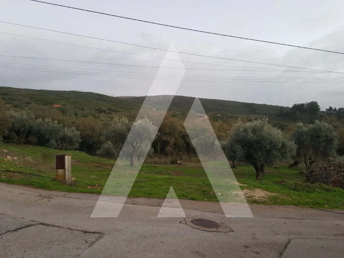 Terreno para Venda em Porto de Mós - São João Baptista e São Pedro Foto 3