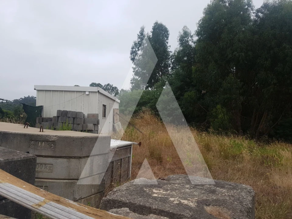 Terreno para Venda em São Martinho do Bispo e Ribeira de Frades Foto 10
