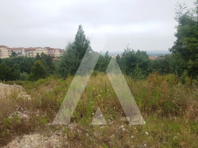 Terreno para Venda em São Martinho do Bispo e Ribeira de Frades Foto 7