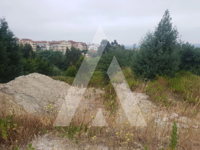Terreno para Venda em São Martinho do Bispo e Ribeira de Frades Foto 8