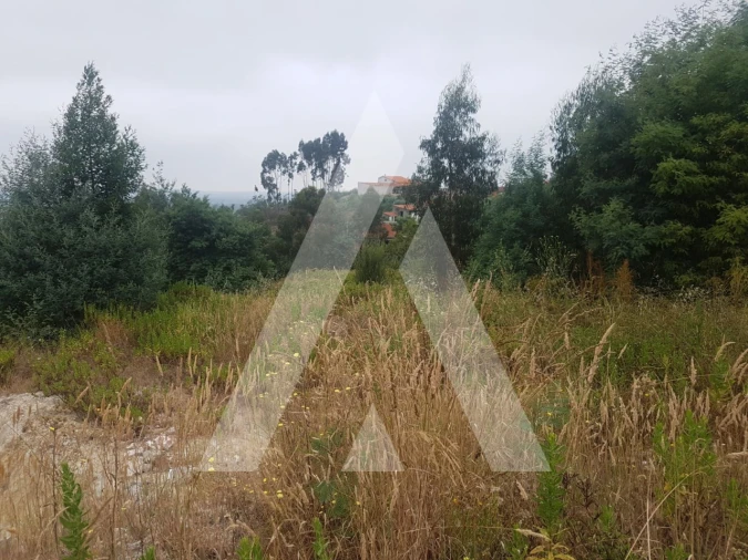 Terreno para Venda em São Martinho do Bispo e Ribeira de Frades Foto 9
