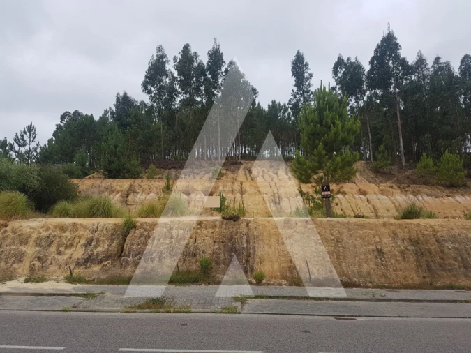 Terreno para Venda em Leiria, Pousos, Barreira e Cortes Foto 16