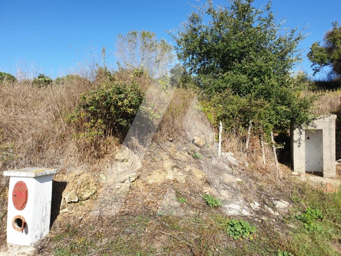 Terreno para Venda em Batalha Foto 5