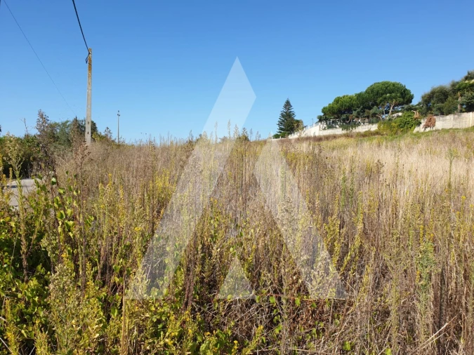 Terreno para Venda em Batalha Foto 7