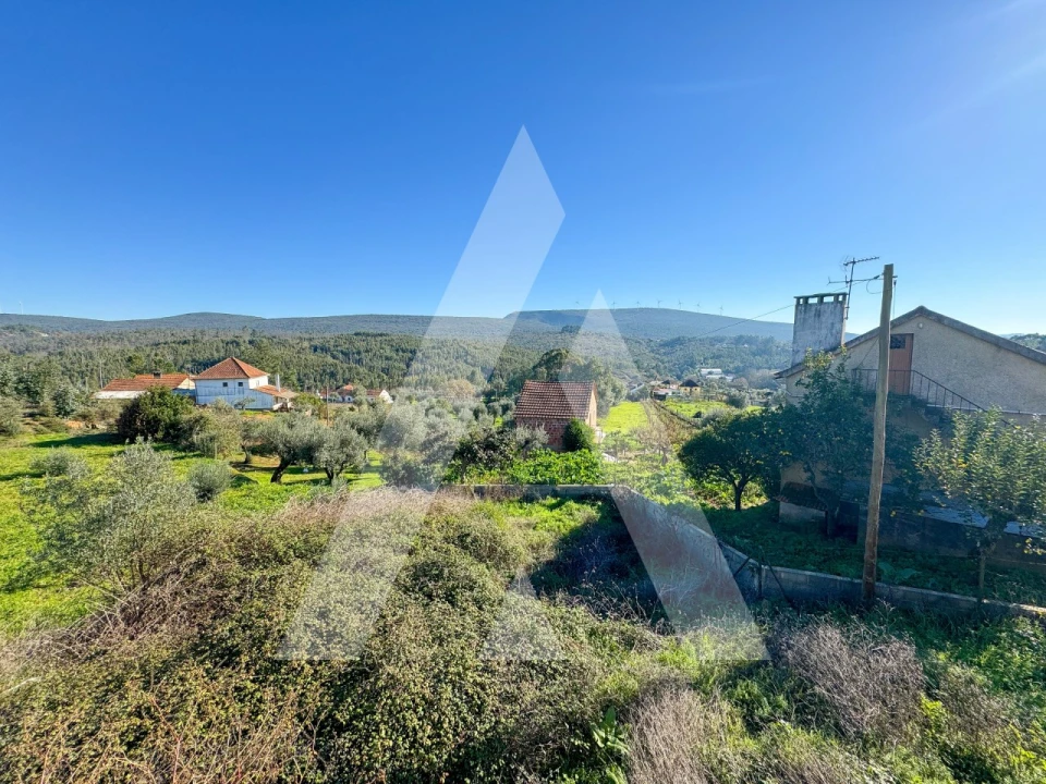 Moradia T3 para Venda em Almoster Foto 23