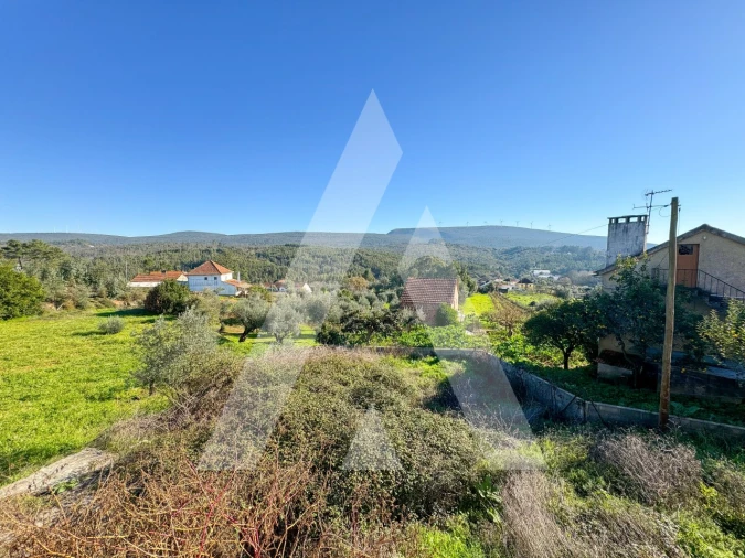 Moradia T3 para Venda em Almoster Foto 21