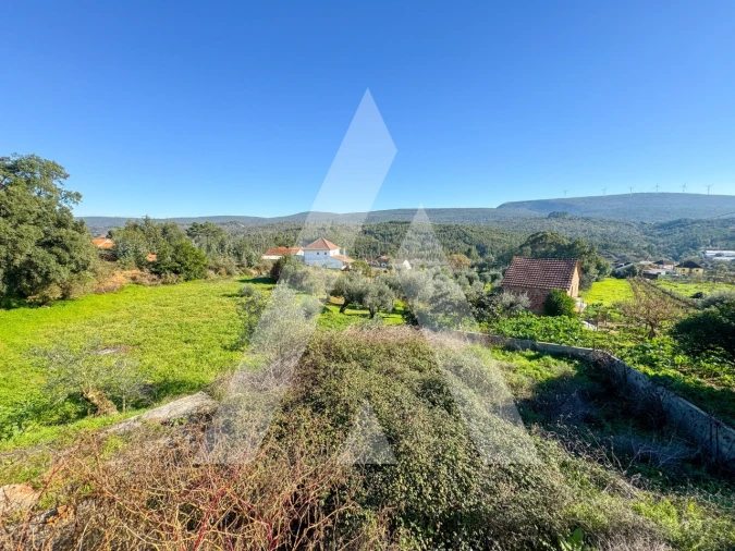 Moradia T3 para Venda em Almoster Foto 22