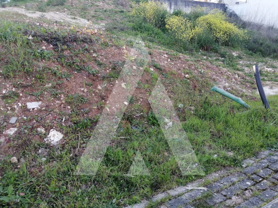 Terreno para Venda em Leiria, Pousos, Barreira e Cortes Foto 5