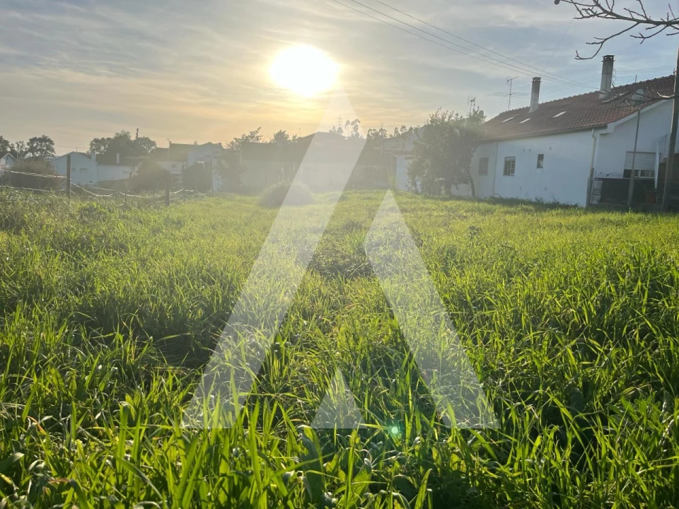 Terreno para Venda em Leiria, Pousos, Barreira e Cortes Foto 7