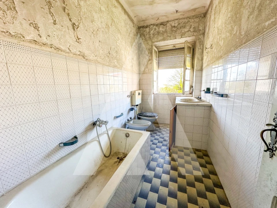 Prédio para Venda em Avelar Foto 18