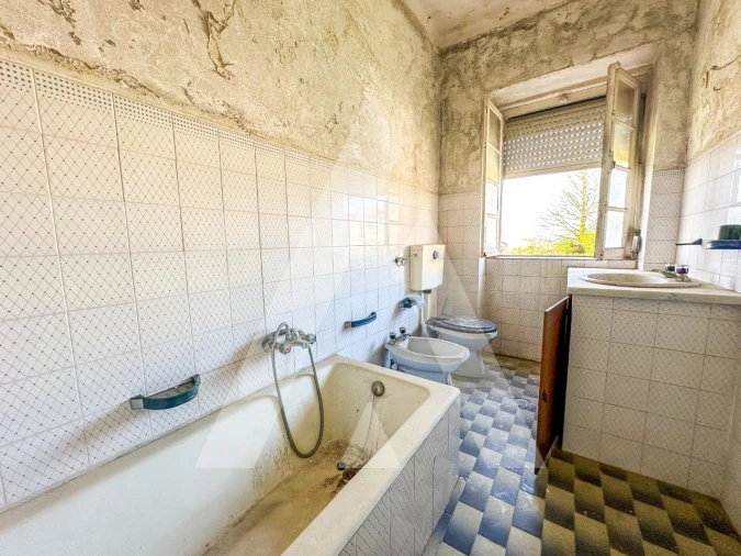 Prédio para Venda em Avelar Foto 19