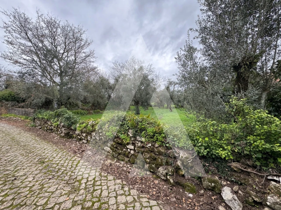 Terreno para Venda em Pussos São Pedro Foto 4