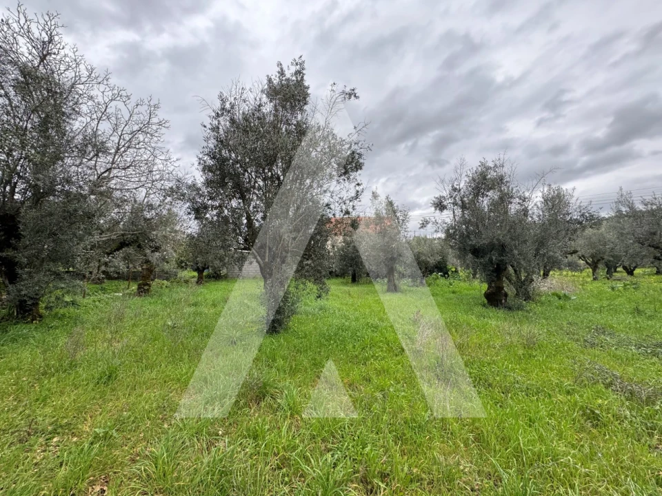 Terreno para Venda em Pussos São Pedro Foto 10