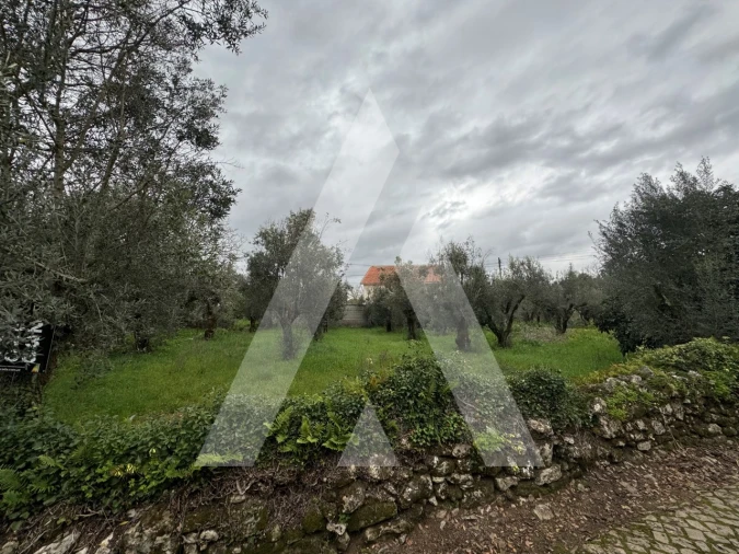 Terreno para Venda em Pussos São Pedro Foto 3