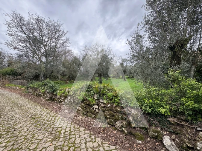 Terreno para Venda em Pussos São Pedro Foto 6