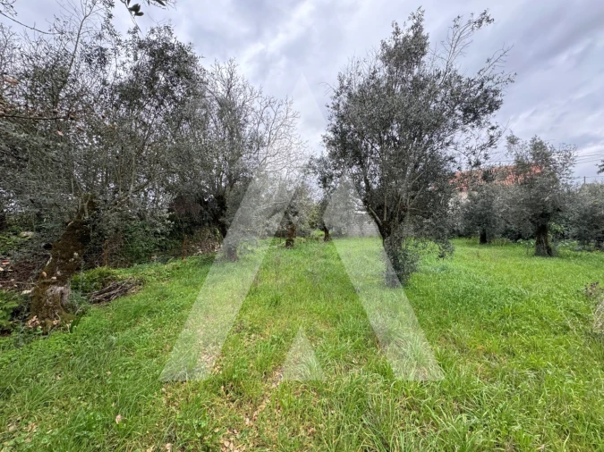 Terreno para Venda em Pussos São Pedro Foto 9