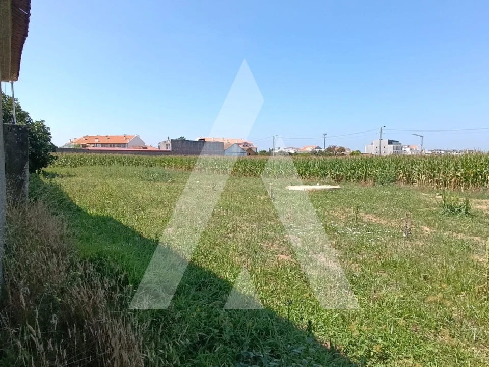 Terreno para Venda em Oiã Foto 2