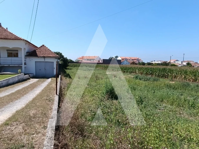 Terreno para Venda em Oiã Foto 3