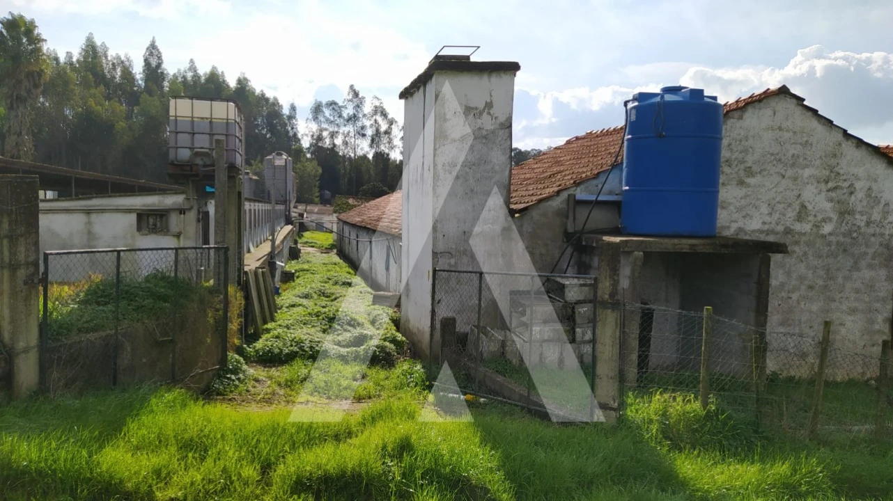 Quinta para Venda em Regueira de Pontes Foto 1