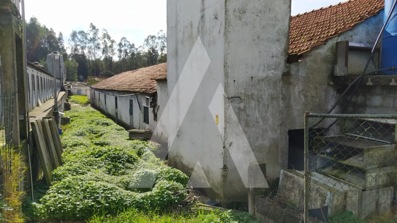Quinta para Venda em Regueira de Pontes Foto 6