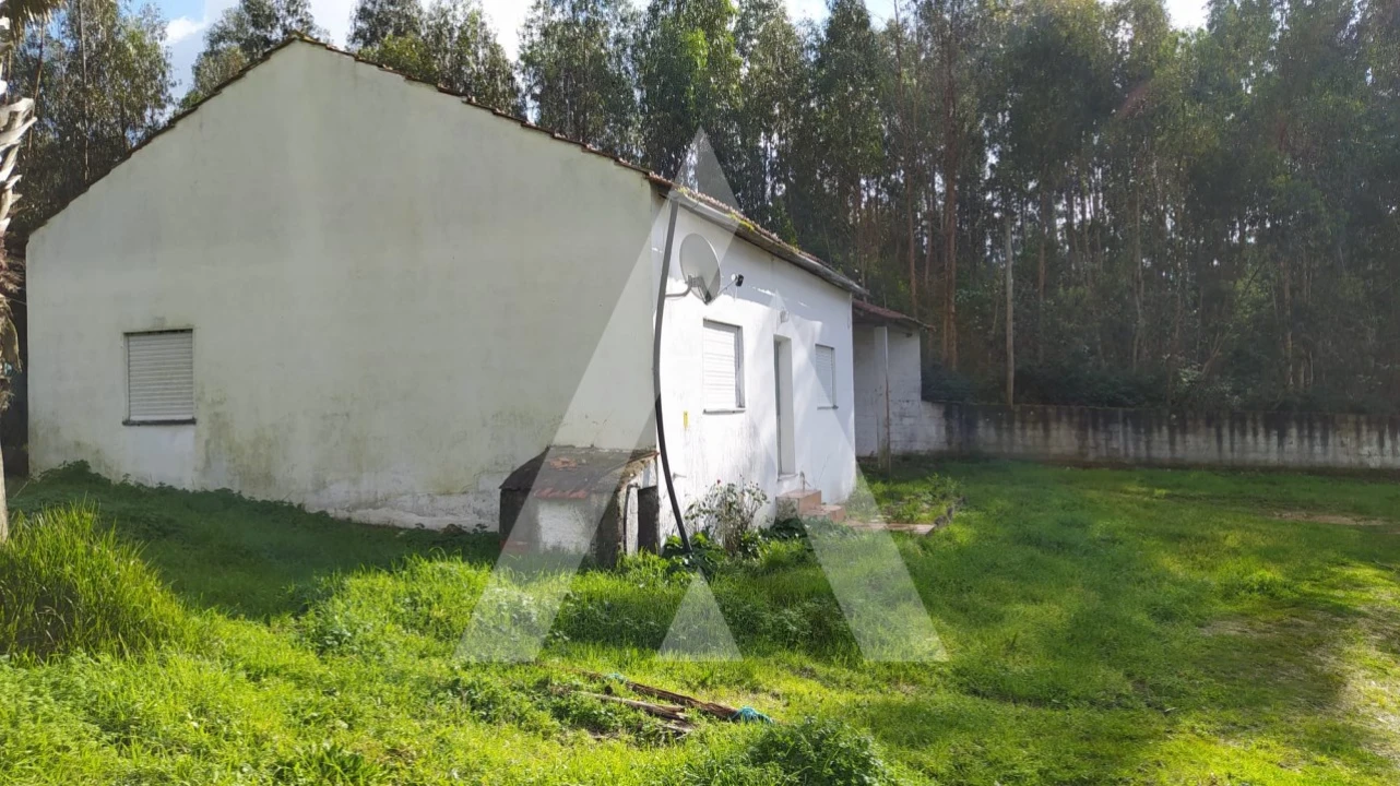 Quinta para Venda em Regueira de Pontes Foto 7