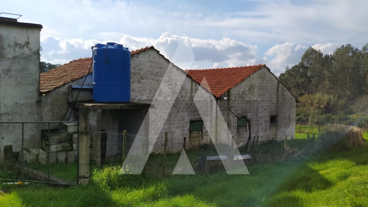 Quinta para Venda em Regueira de Pontes Foto 11