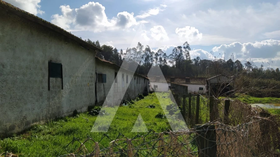 Quinta para Venda em Regueira de Pontes Foto 2