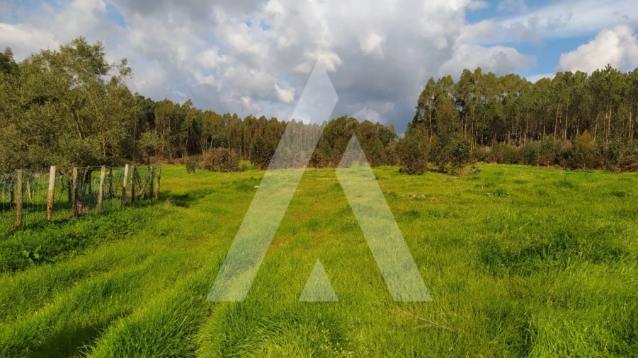 Quinta para Venda em Regueira de Pontes Foto 3