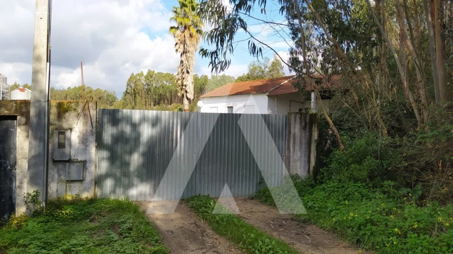 Quinta para Venda em Regueira de Pontes Foto 8