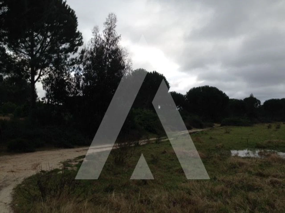 Terreno para Venda em Pegões Foto 5