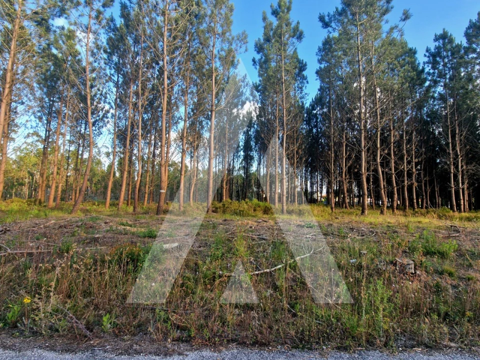 Terreno para Venda em Carnide Foto 3