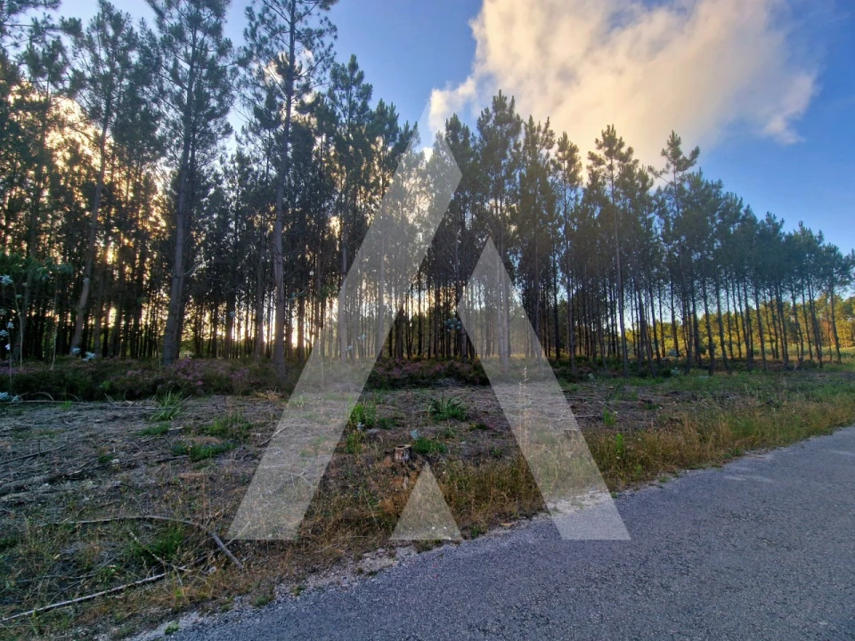 Terreno para Venda em Carnide Foto 5