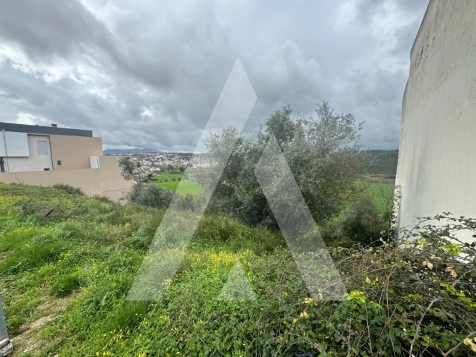 Terreno para Venda em Batalha Foto 3