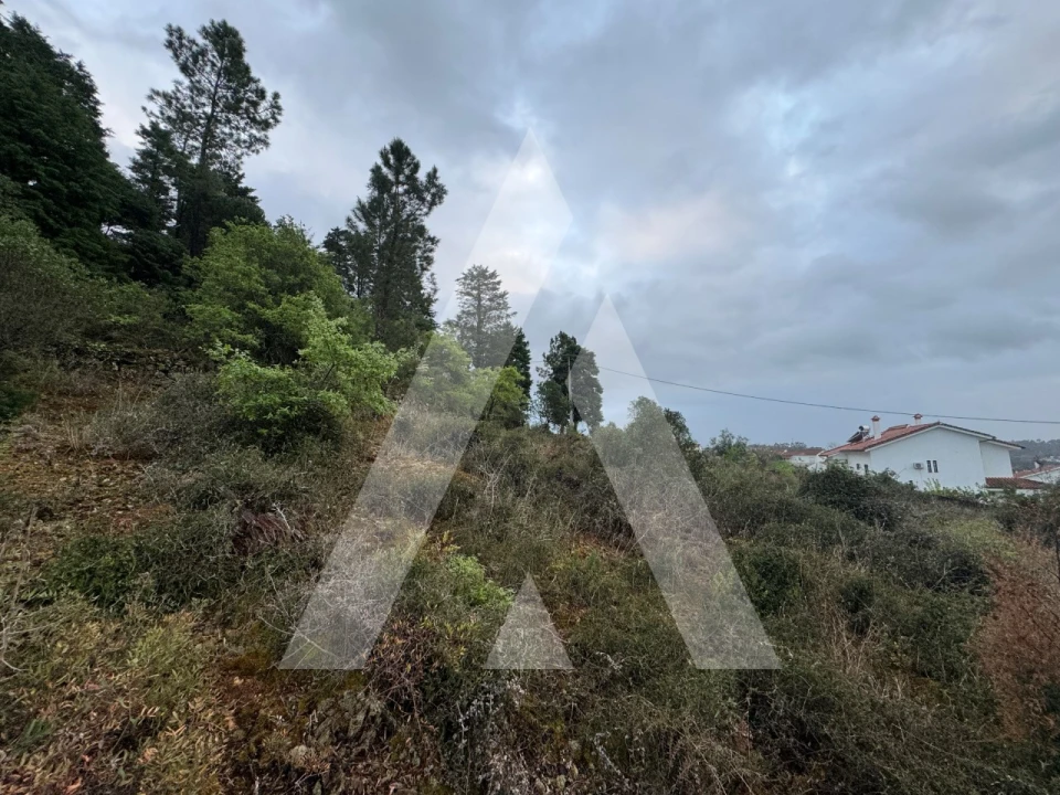 Terreno para Venda em Assafarge e Antanhol Foto 8