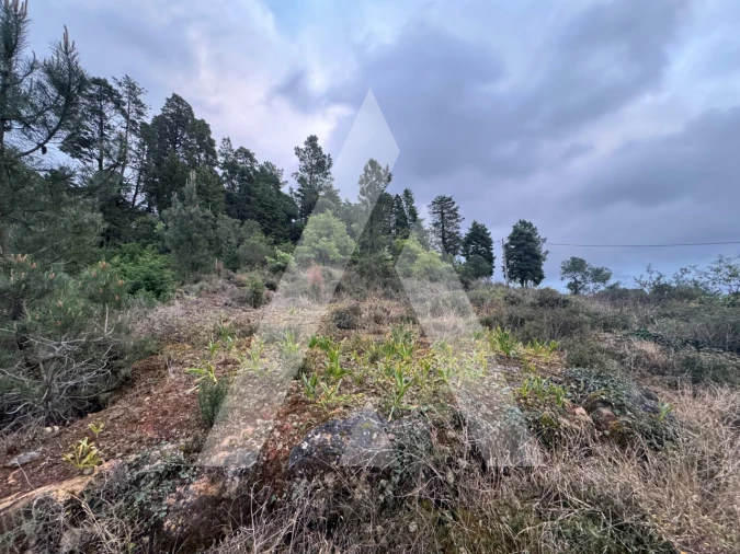 Terreno para Venda em Assafarge e Antanhol Foto 7