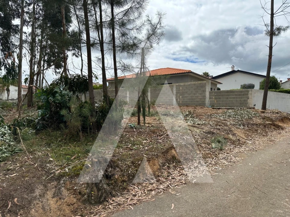 Terreno para Venda em Oliveira do Bairro Foto 1