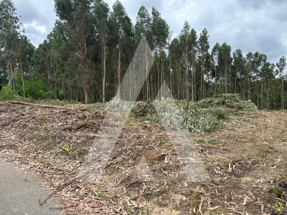 Terreno para Venda em Oliveira do Bairro Foto 3