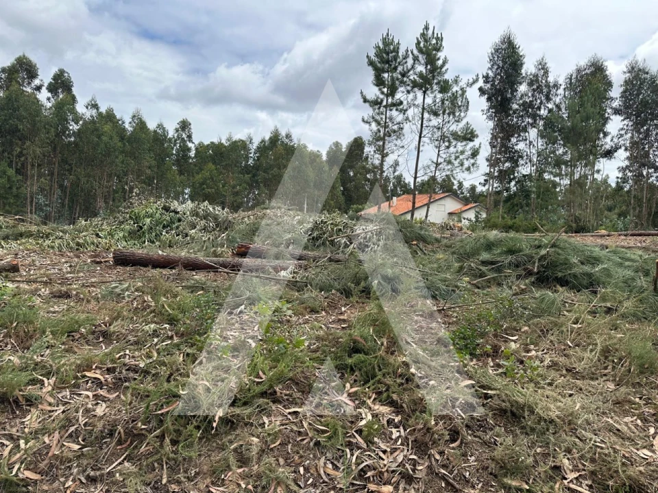 Terreno para Venda em Oliveira do Bairro Foto 11