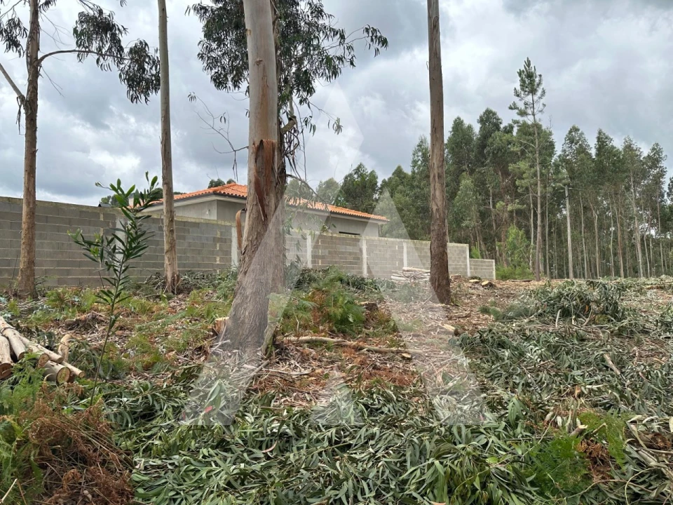 Terreno para Venda em Oliveira do Bairro Foto 3