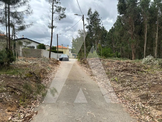 Terreno para Venda em Oliveira do Bairro