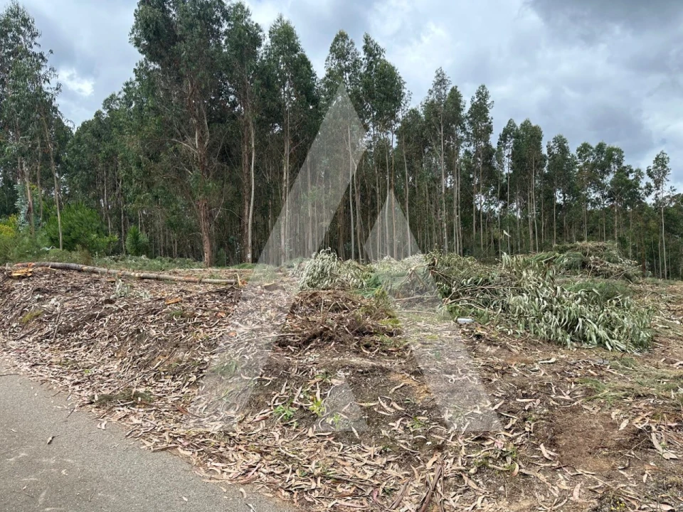 Terreno para Venda em Oliveira do Bairro Foto 1